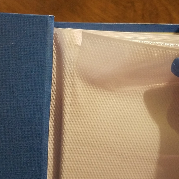 🏵️Flower photo album🏵️ - Picture 8 of 10